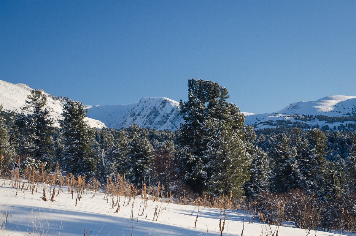 Пик Белок Озерный, Каракольские озера, Алтай