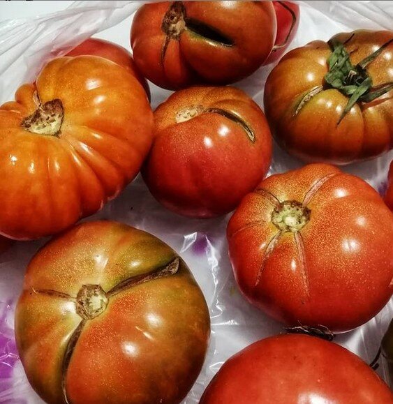 помидоры деревенские