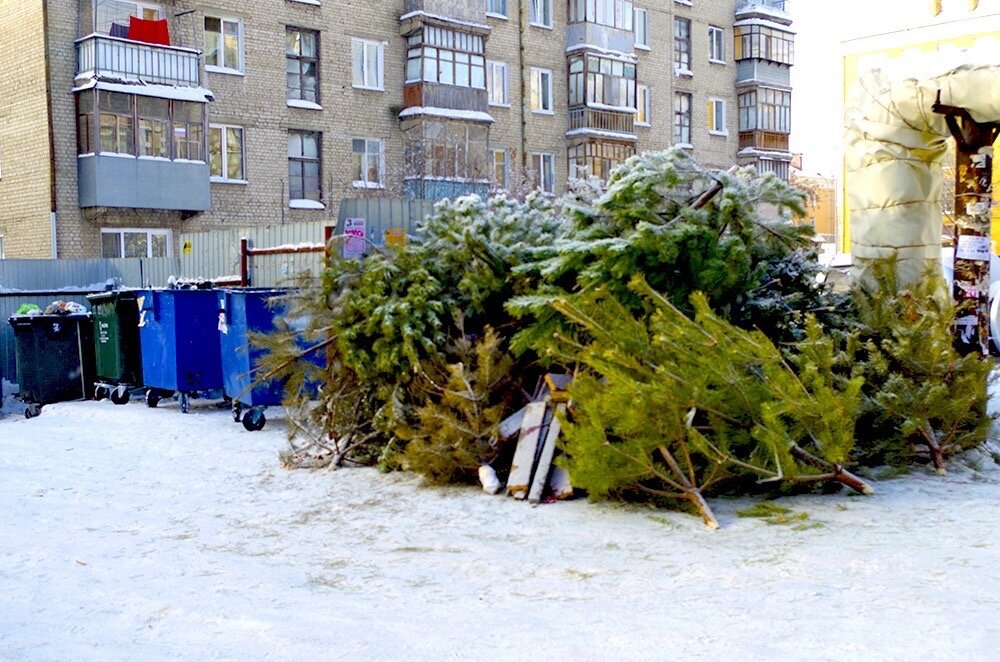 Так выглядят мусорки после Нового года 