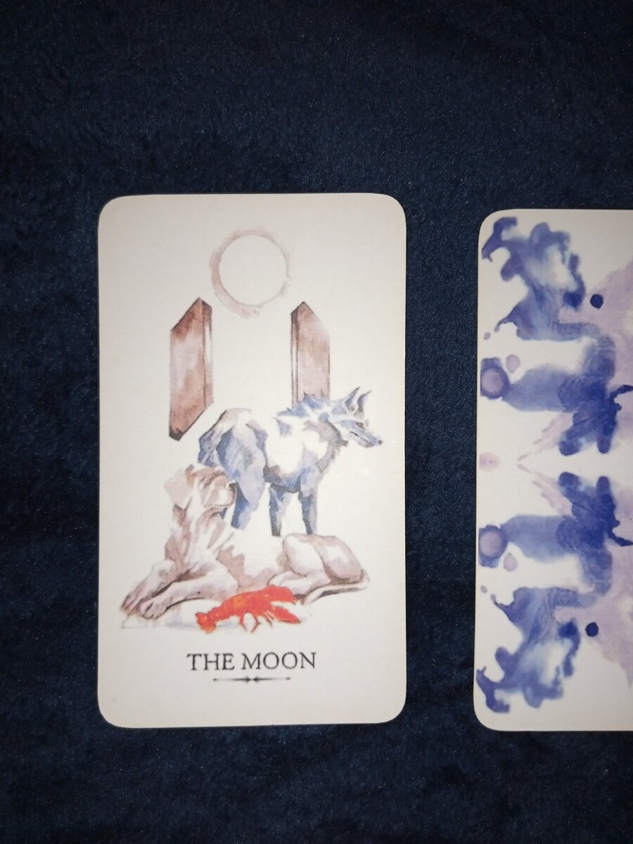 Фото автора канала