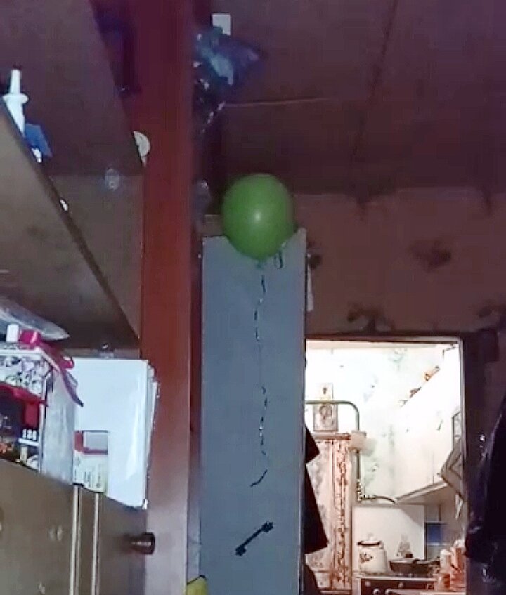 Тот самый шарик. Пока я очухалась, пока настроила камеру - получилось 10-секундное видео. С него и сделала скриншот