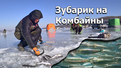 Рыбалка на комбайн зимой видео - доступные способы ледовой рыбалки