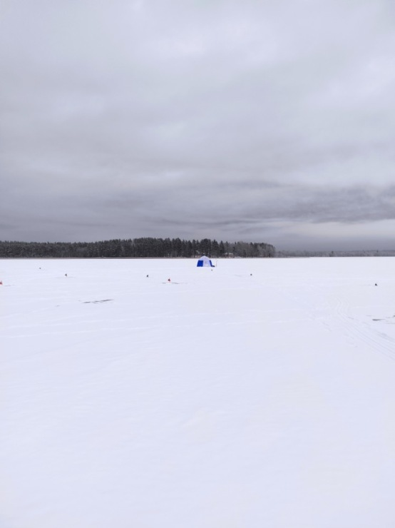 фото автора на ресурсе  http://gallery.ru/watch?ph=cfx-imfms