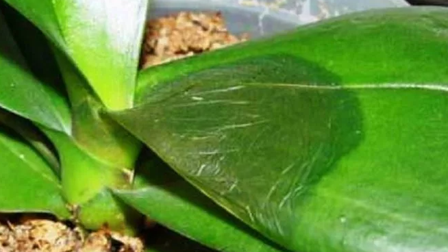 фото взято из интернета