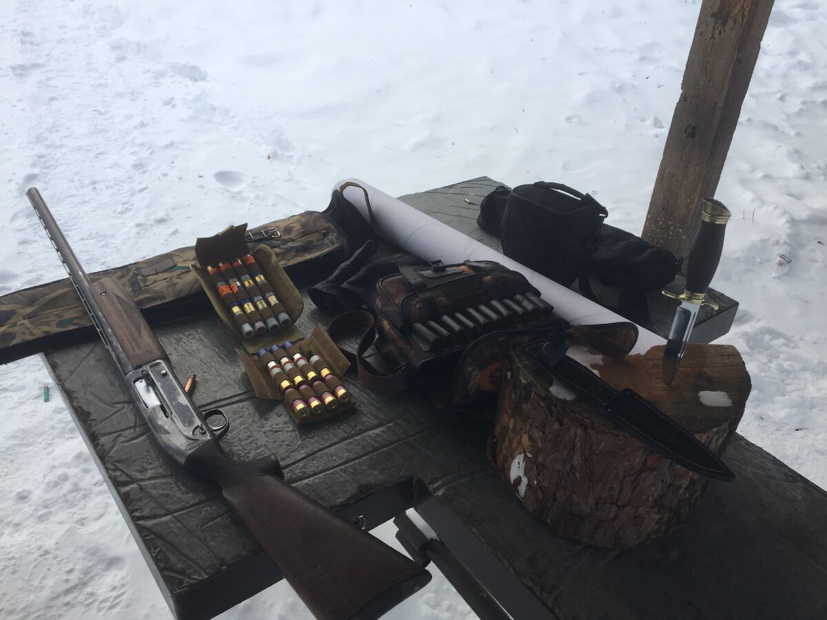 Патрон 12 калибра с нуля. Базовые понятия для начинающего | DES. Охота ...