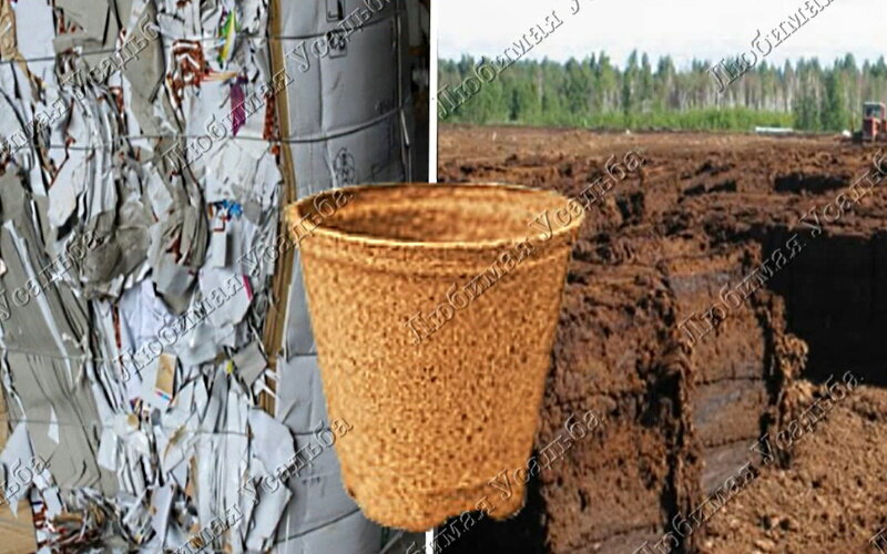 Горшочки изготавливаются из торфа и картона