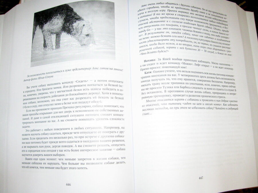 Книга "Хорошая собака плохой породы не бывает"