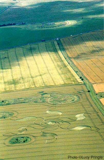 Все дело в обкуренных кенгуру?