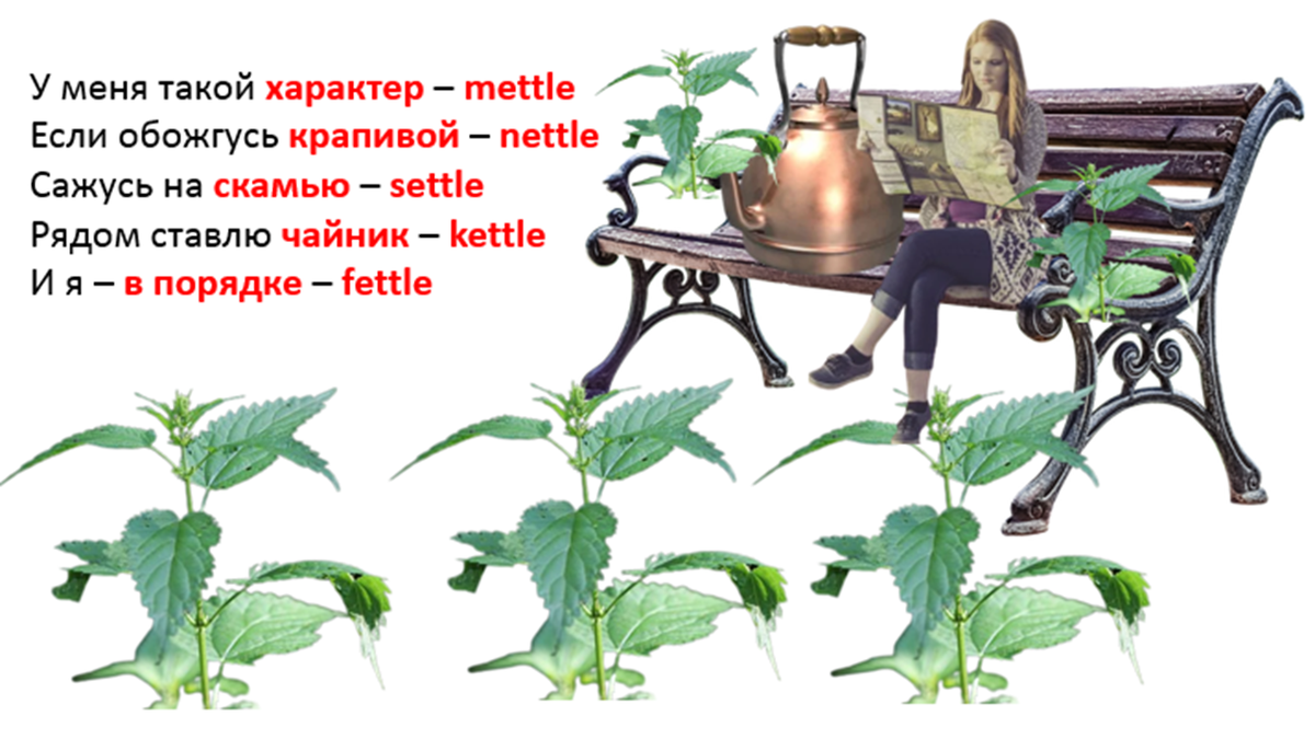 Коллаж составлен из картинок сайта  pixabay.com