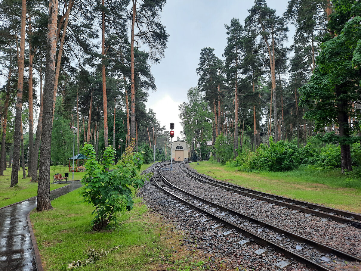 Вид на депо с платформы станции Пионерская, начальной на дороге.