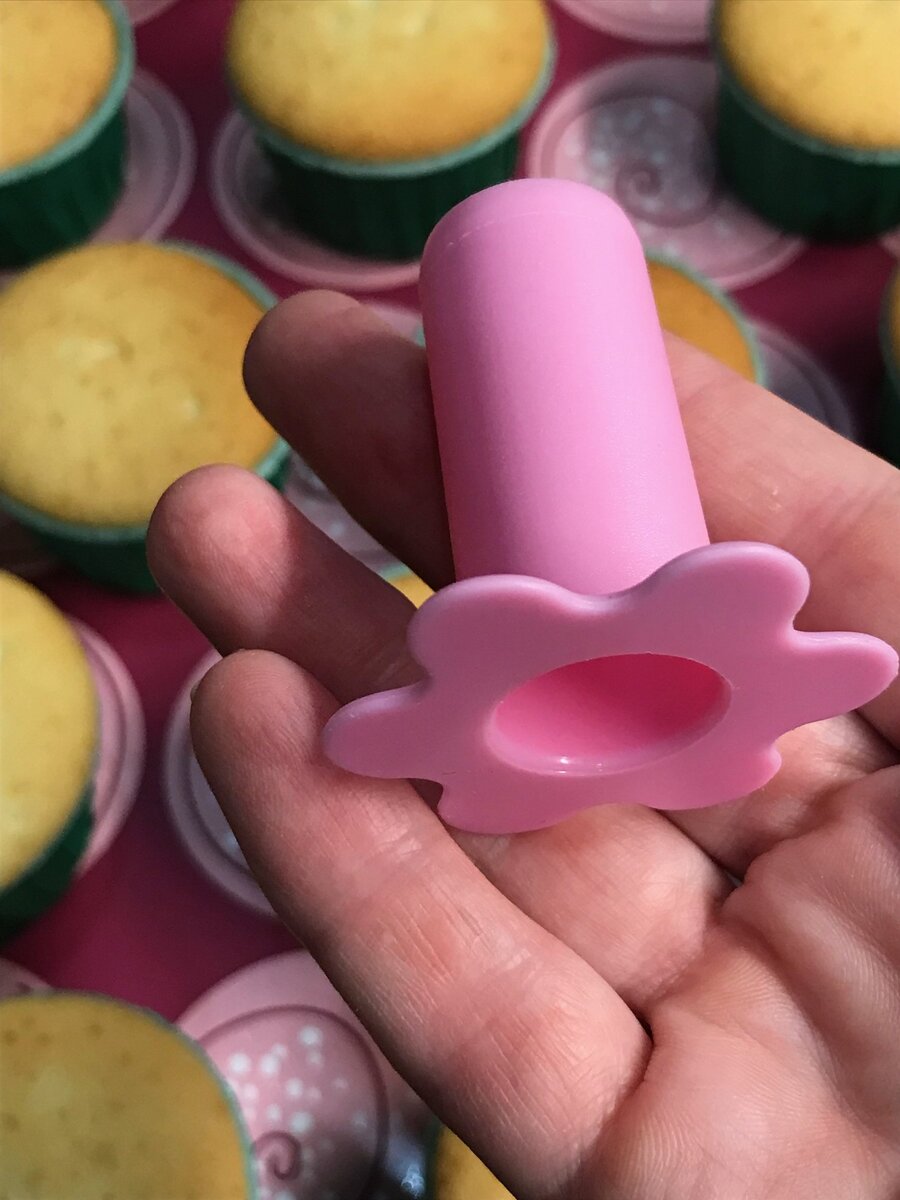 фото из личного архива. Использование пластикового плунжера
