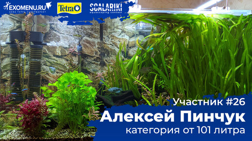 Травник 430 л. Участник №26 в категории от 101 литра #Scalariki​ Aquascaping Contest 2021