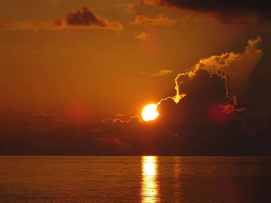 Фото: https://www.piqsels.com 