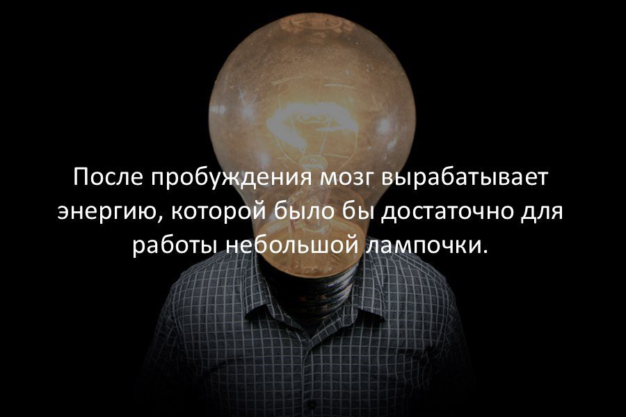 Если вам это интересно. Интересные факты. Удивительные факты. Интересные научные факты смешные. Интересные факты в картинках.