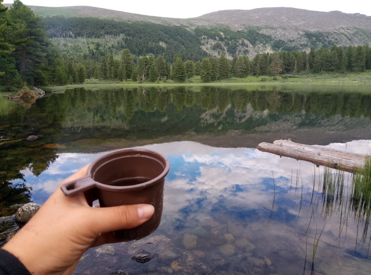 Чай, из того, что собрали вокруг.