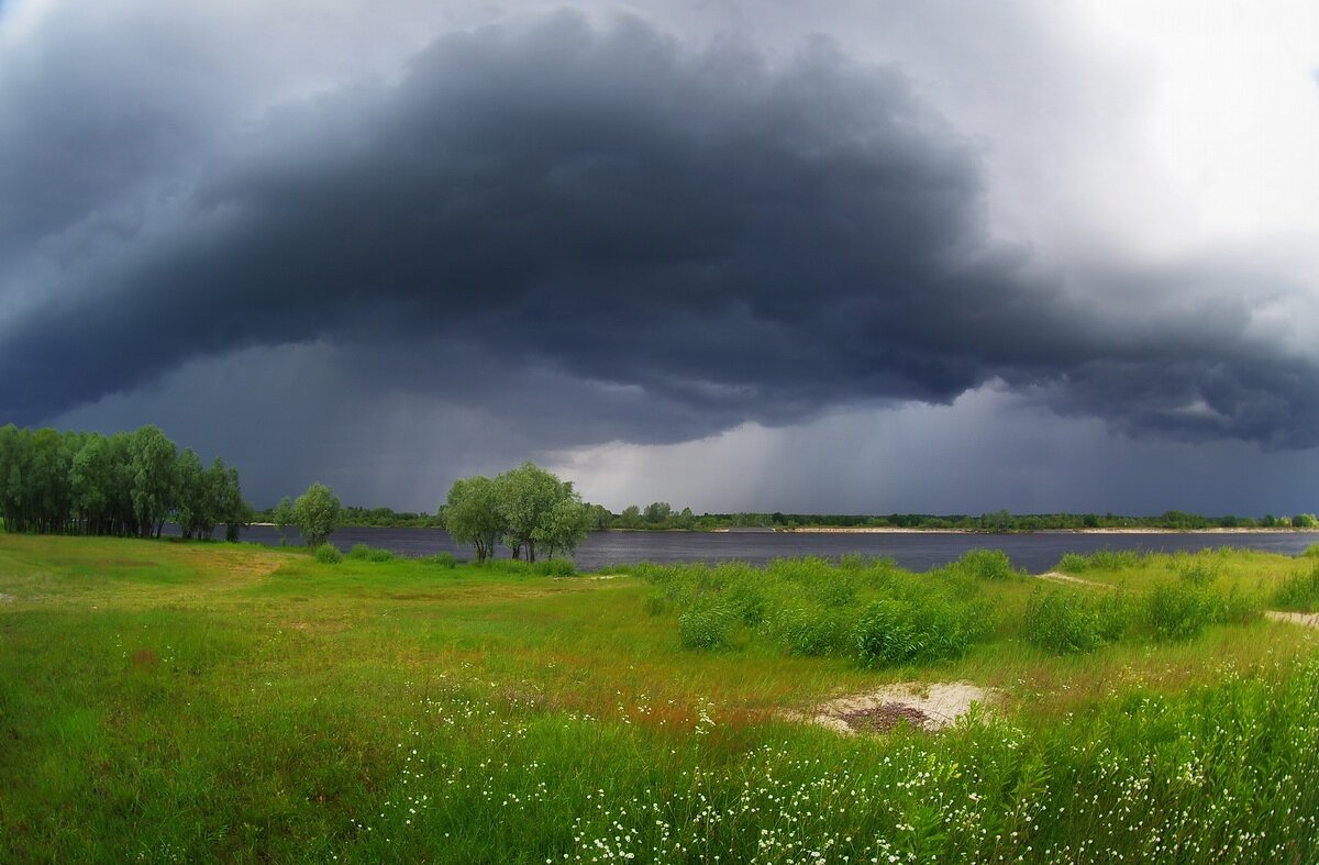 Изображение взято с просторов интернета. 