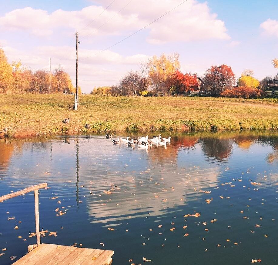 Осенняя пора прекрасна