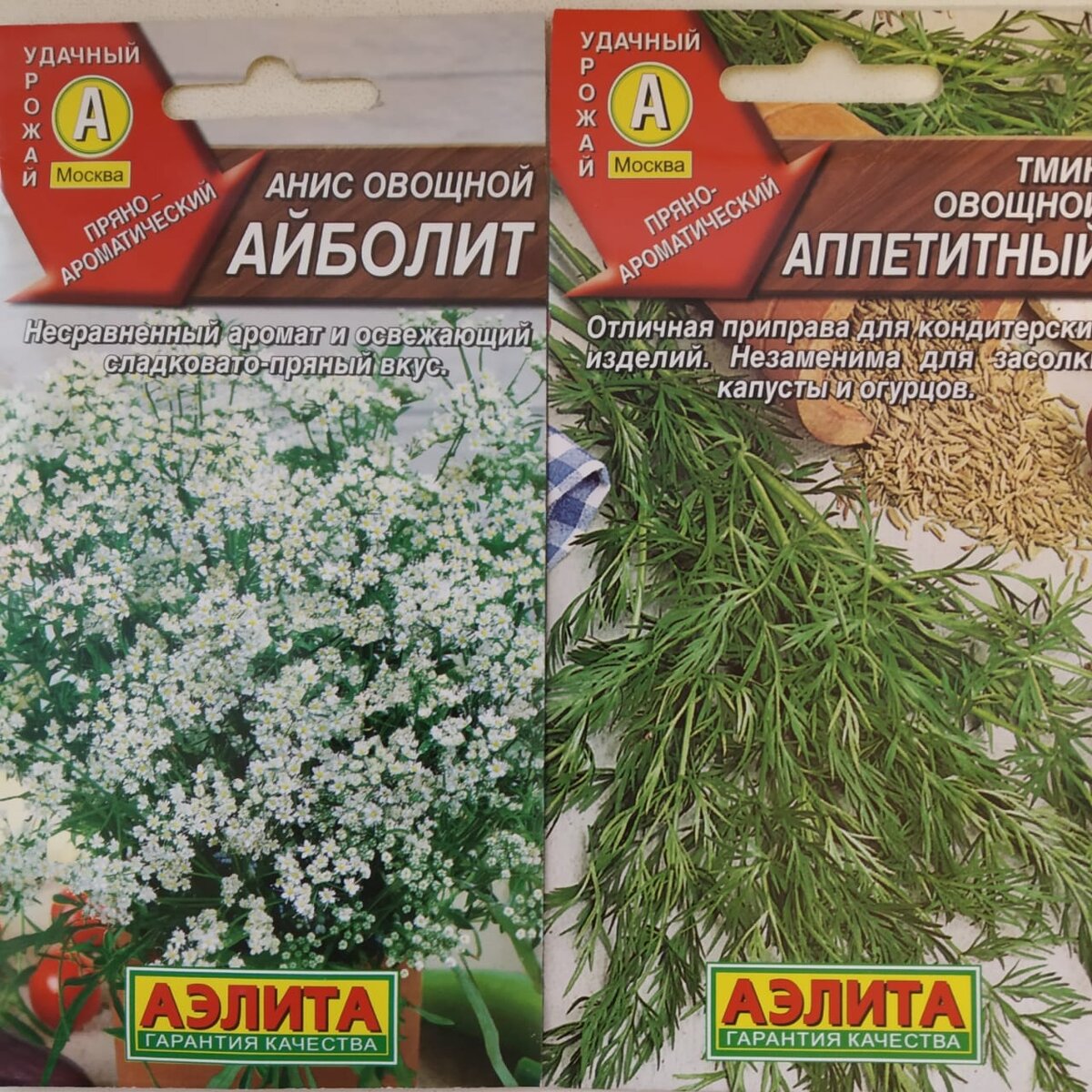 Надеюсь, что в этот раз все получится.