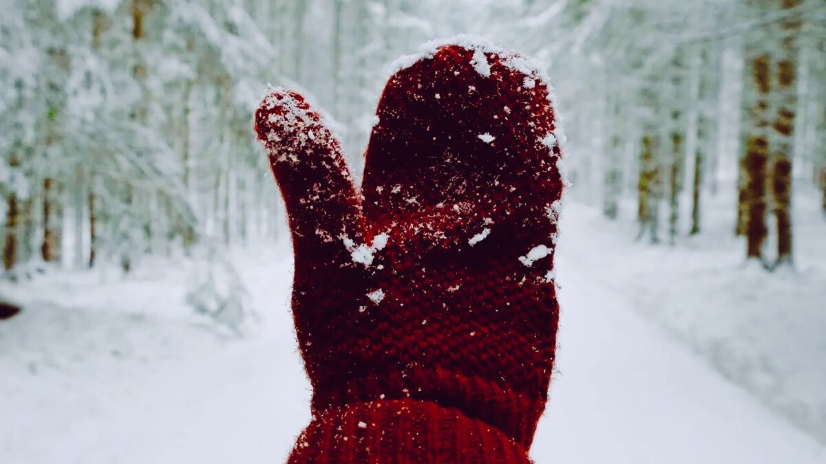 Источник Яндекс Картинки