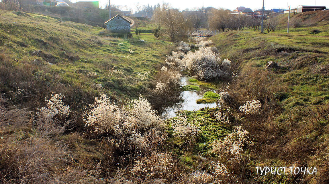 Крым, Ростовская область. Балка речки Хавалы