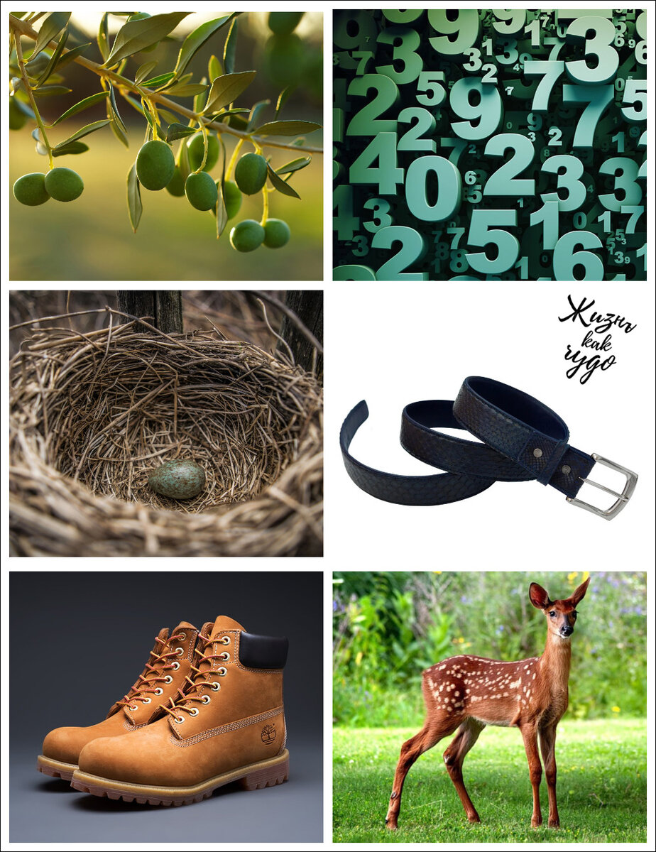 Интуитивно выберите картинку