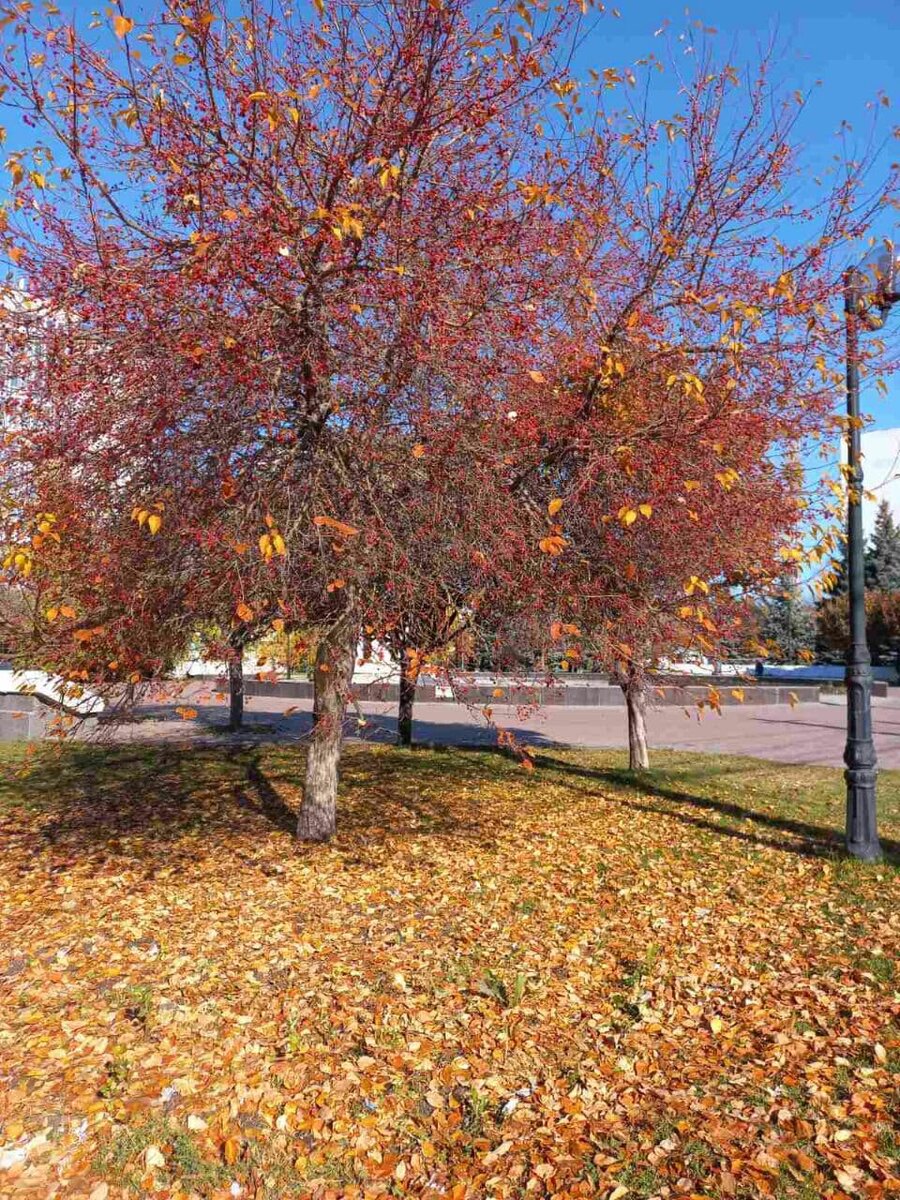 Фото автора.