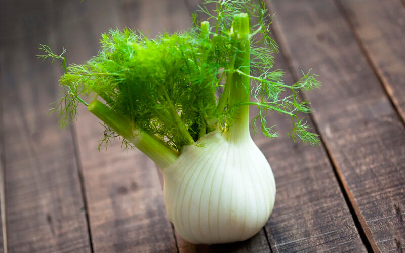 Фенхель (аптечный укроп)