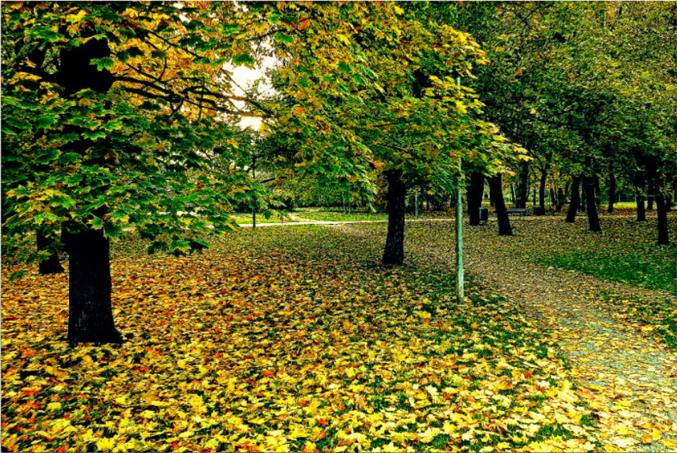 Фото Сергея Павлова. 