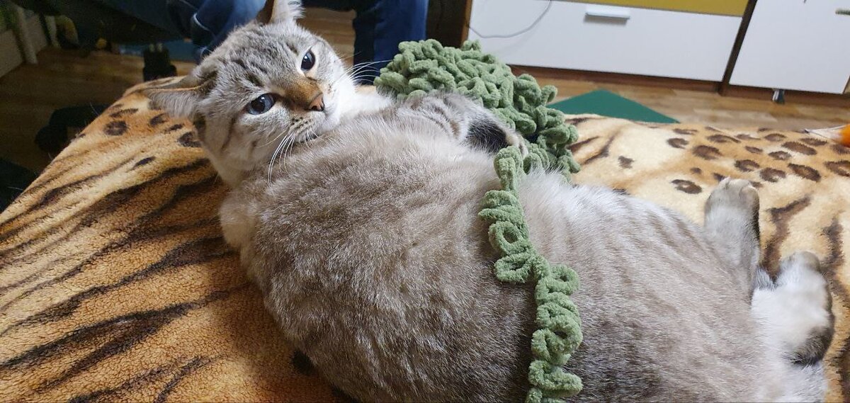 Как умеет, так и приобщается! 