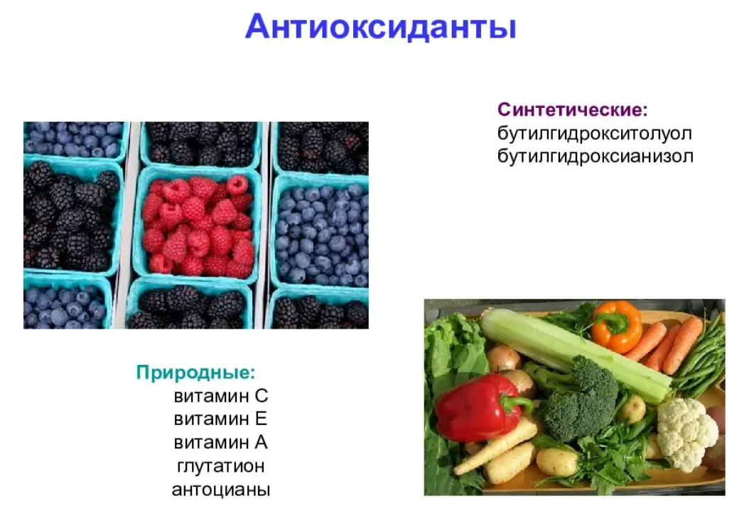 Фото из свободных источников.