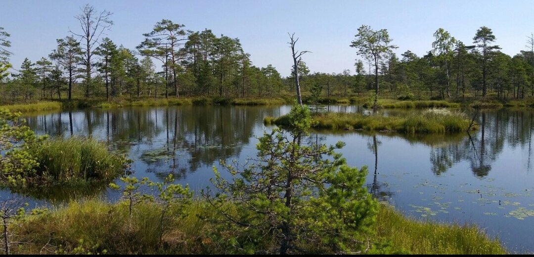 Мы очень любим животных и природу ❤️
