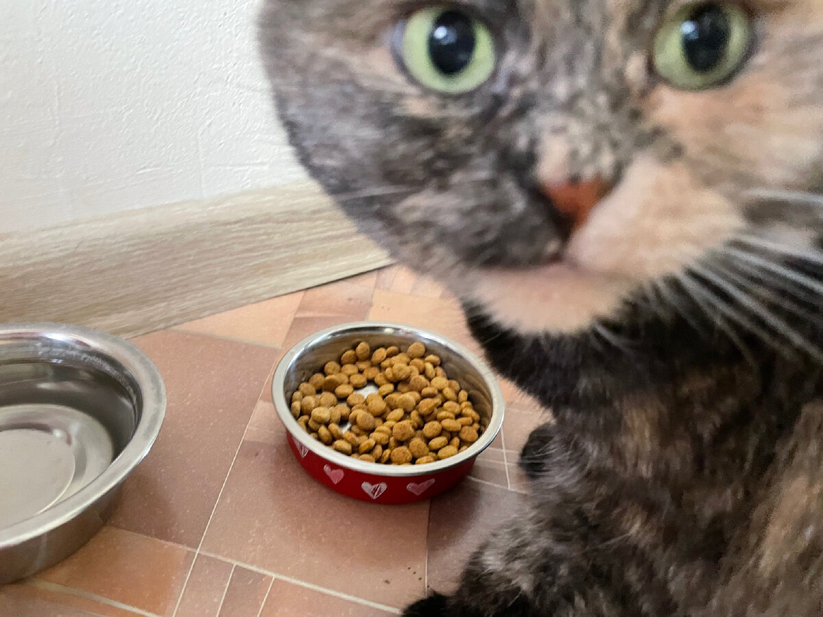 За это молчать буду 1 минуту, не больше