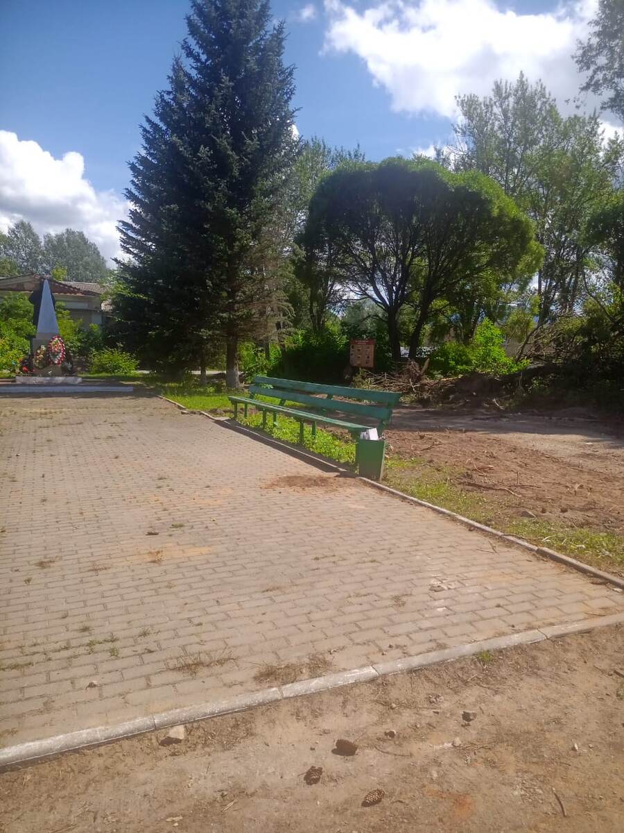 За лавкой еще недавно были огромные, пушистые, зеленые елки.