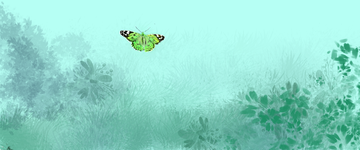 Собачьи сны