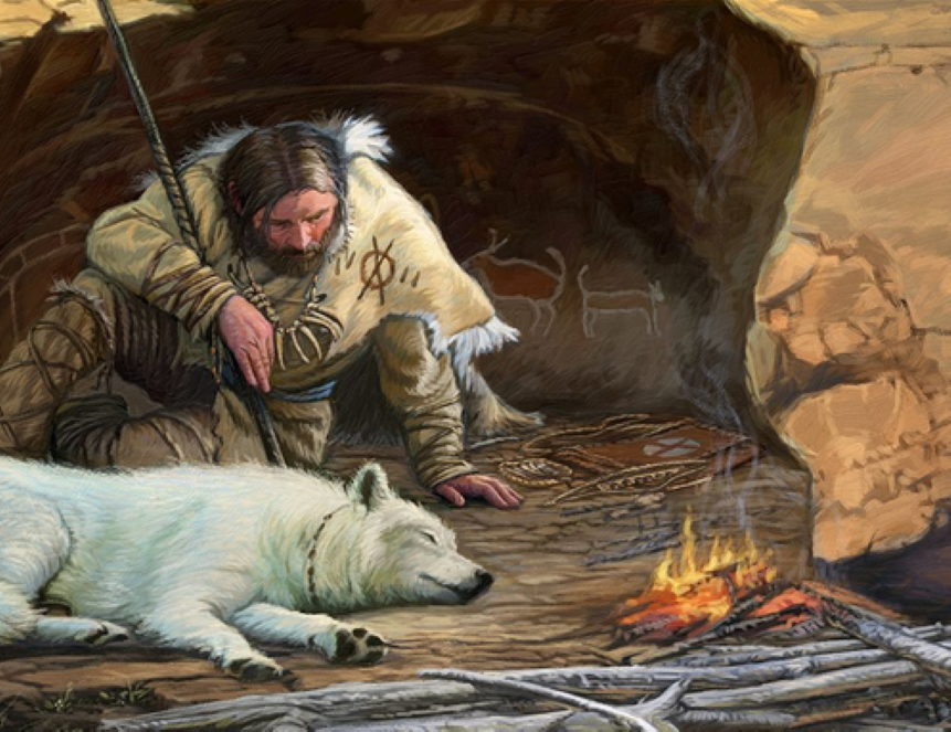 Важность собаки для нашей цивилизации невозможно переоценить. Собака — первый и единственный крупный хищник, которого удалось полностью одомашнить