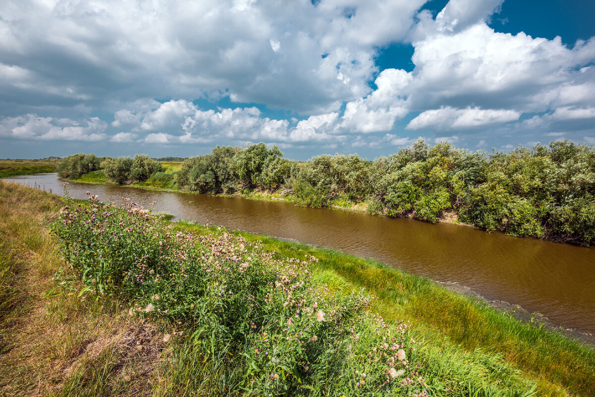 Карта река каргат