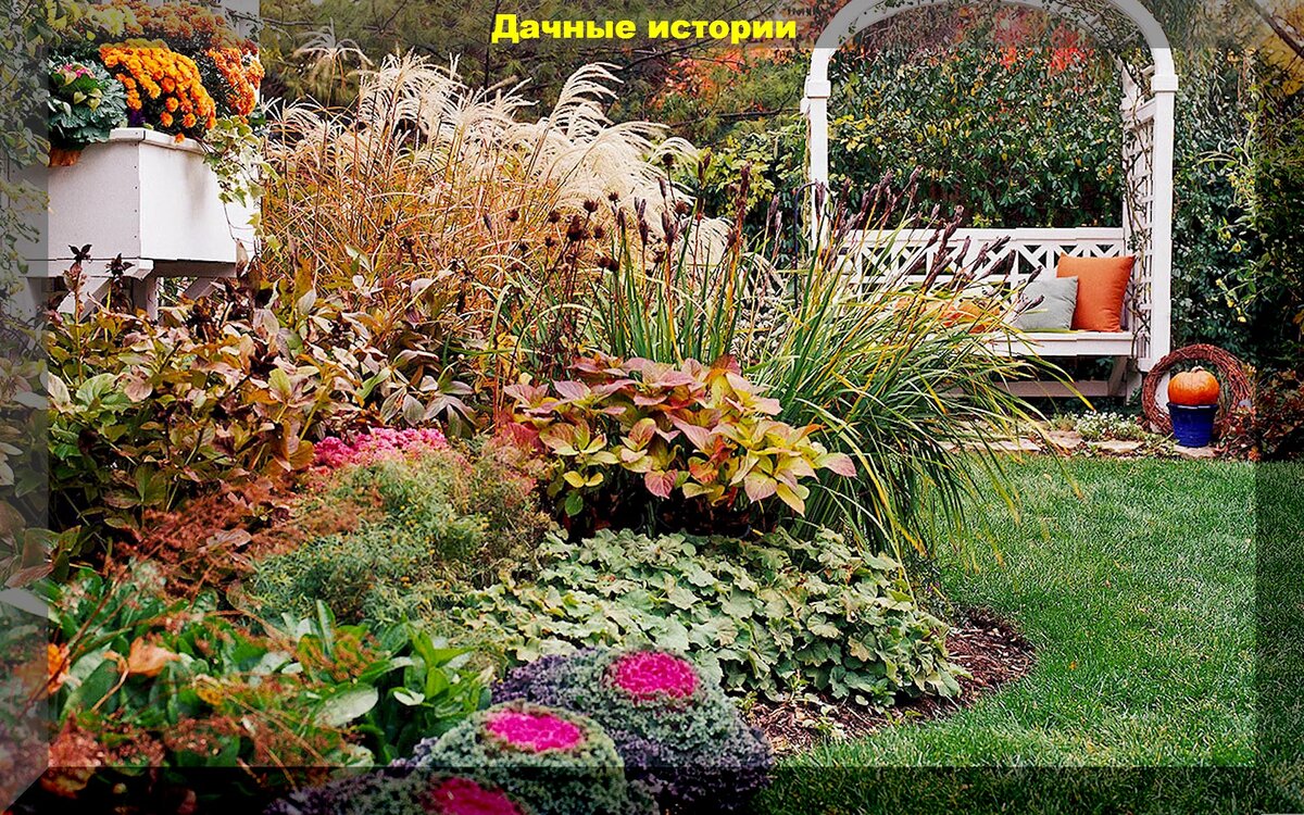 https://vk.com/photo-159774511_457255677