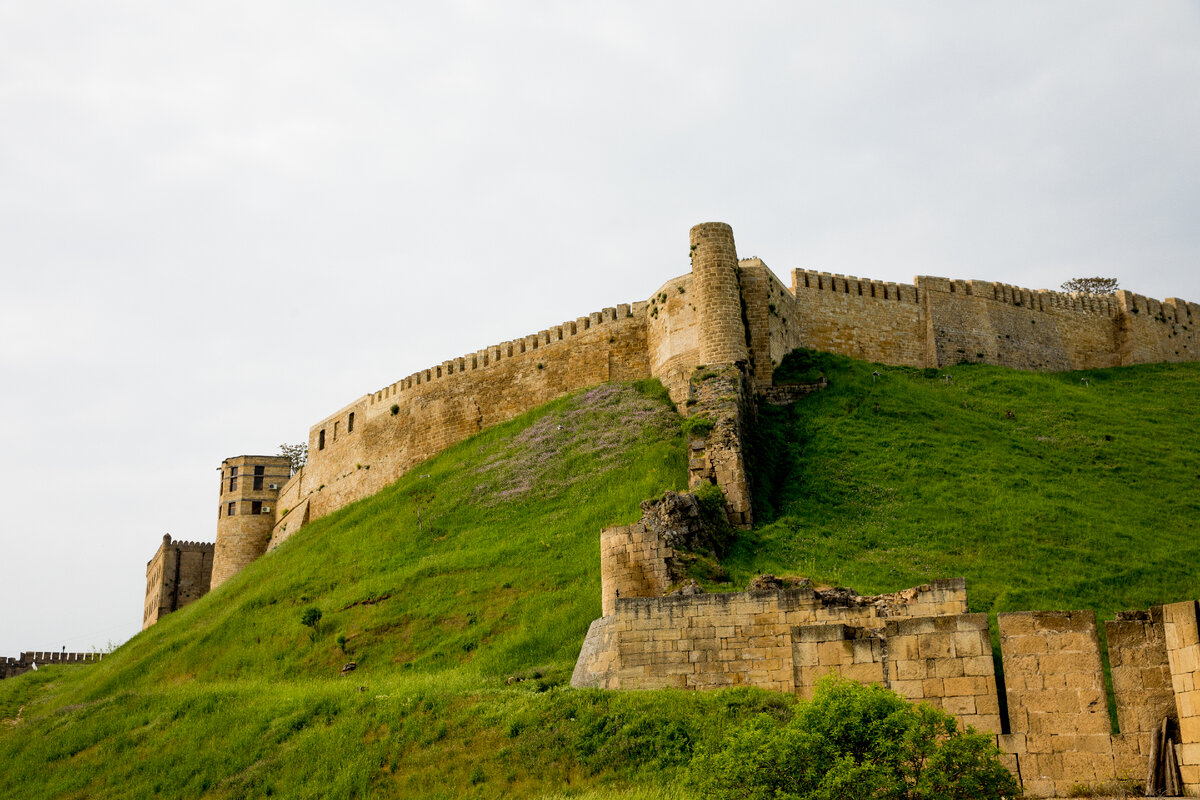 Кавказская гора величавая