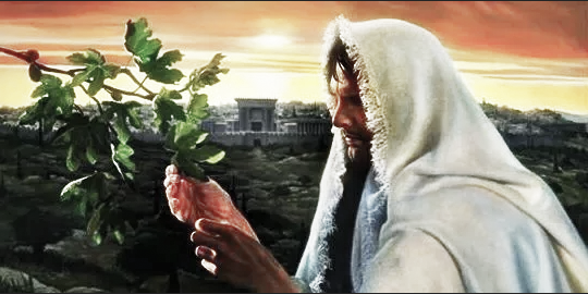 Иисус и смоковница. И, конечно, Иерусалим.