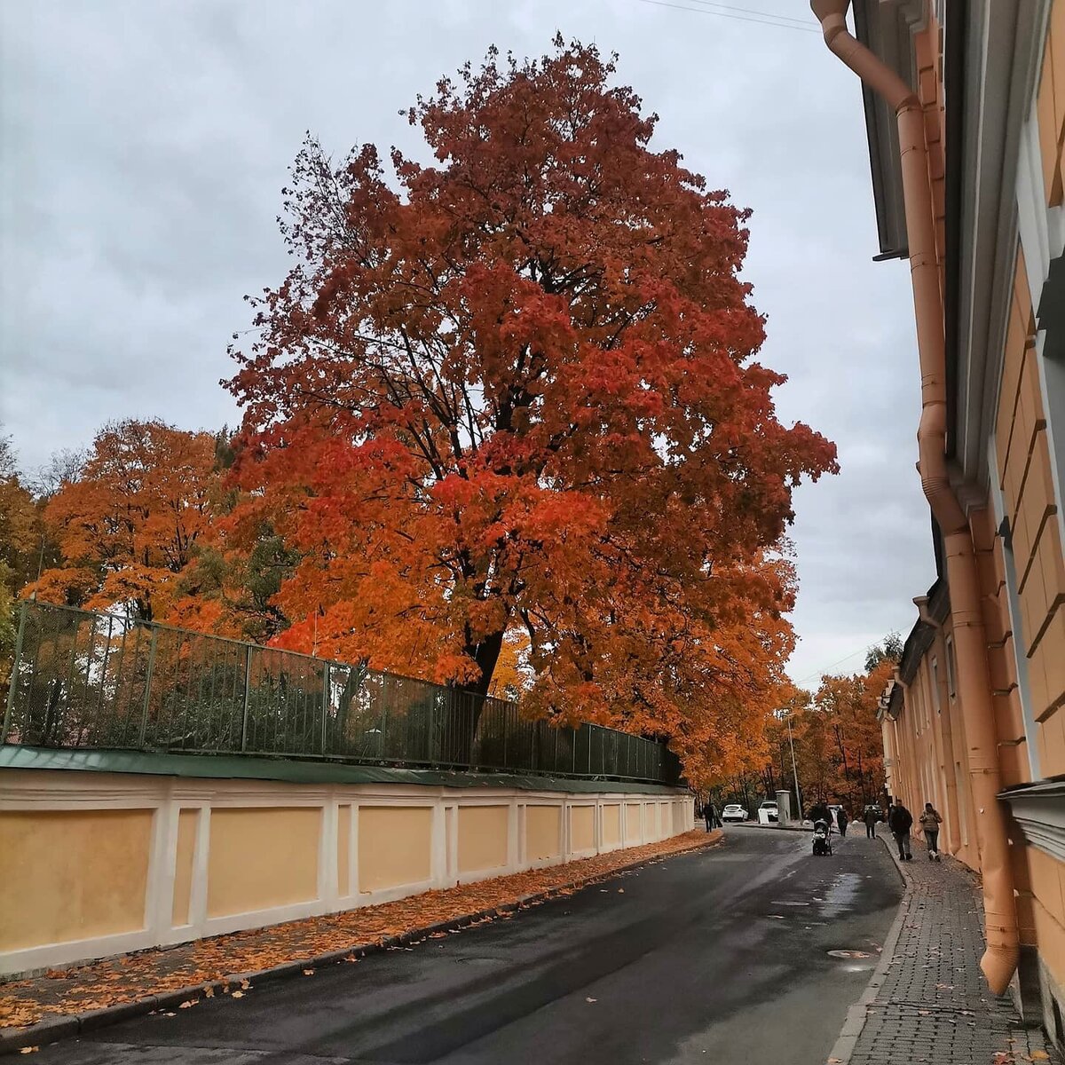 Лаврский проезд