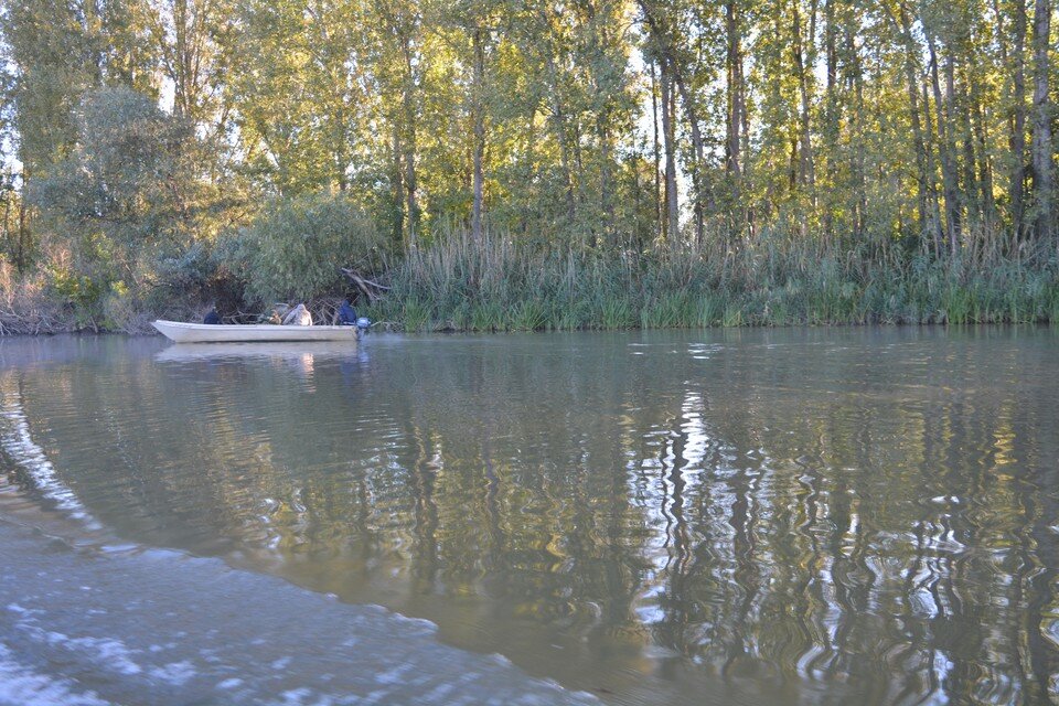     Мужчина уплыл на лодке и не вернулся. Инна ШЕРЕМЕТЬЕВА