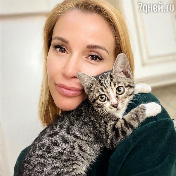   Ольга Орлова с котенком Социальные сети