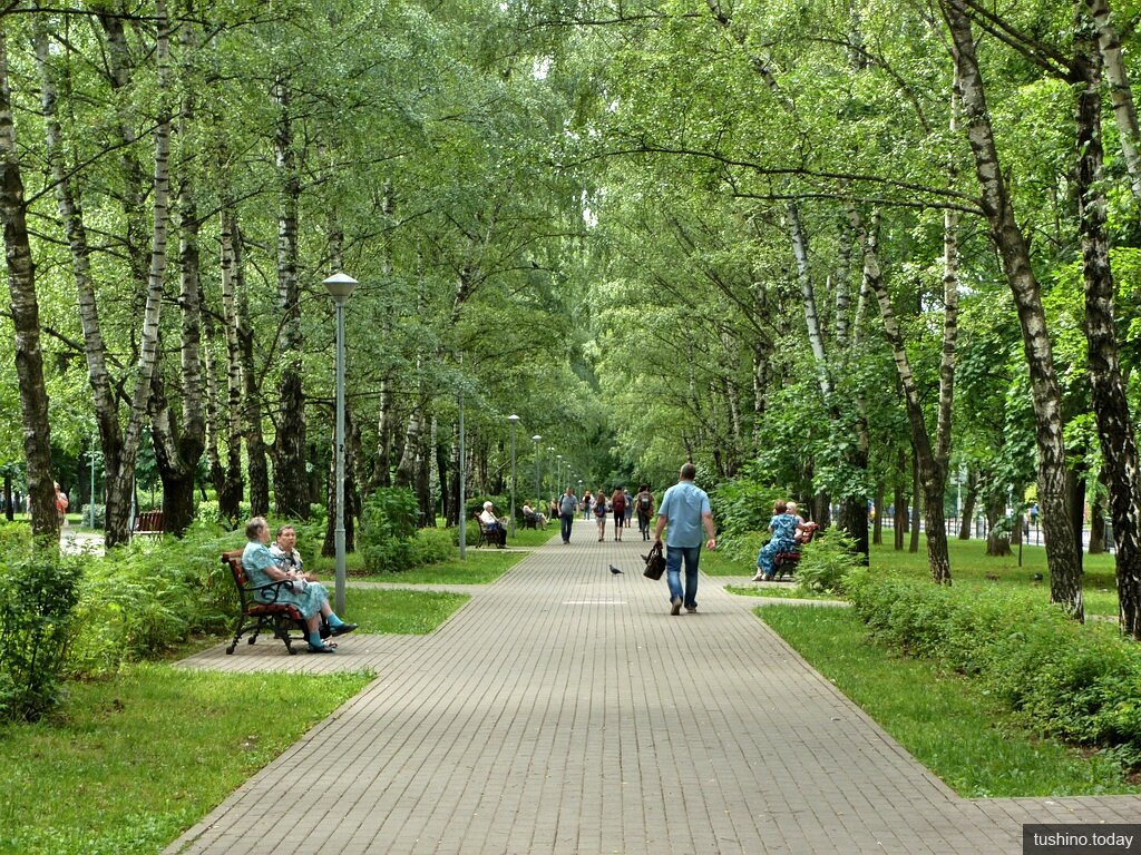 фотография из открытых источников интернет