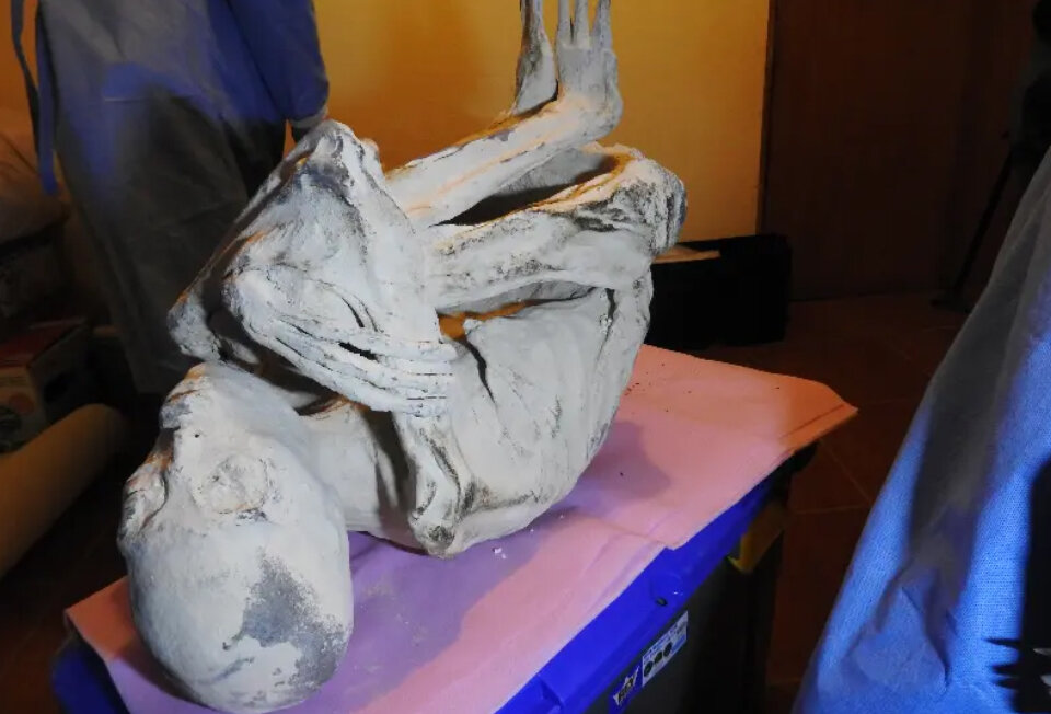 Мумия была покрыта неизвестным белым порошком 