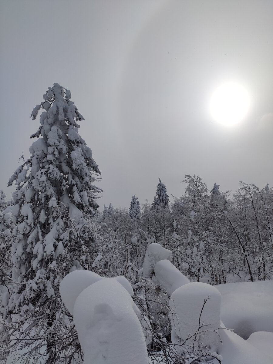 Солнечное гало . Невероятная красота 😍 