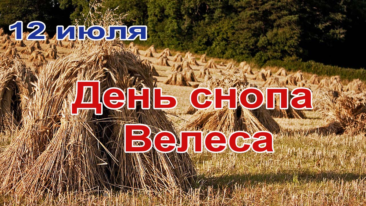 Снопа велеса