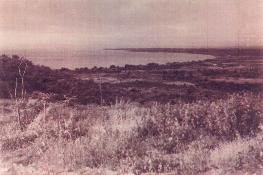 1950-е годы. Место, где будет построен город. Источник: pattayathailand.ru