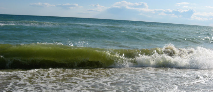 Черное море, Крым.