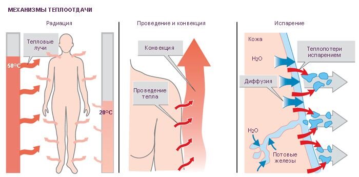 Ночная потливость. Как с этим бороться?