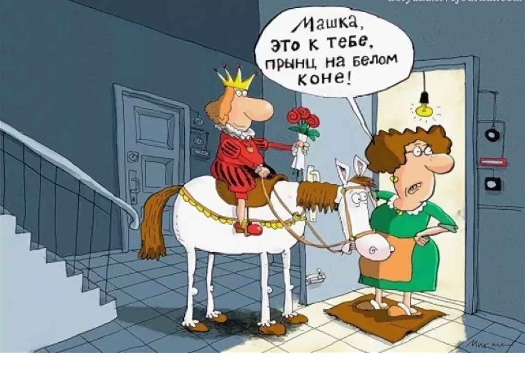 Яндекс картинки